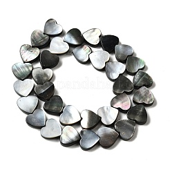 Нити бусин из натуральной черной ракушки для губ BSHE-D300-06A