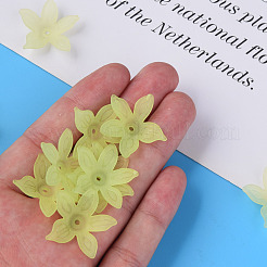 Прозрачные акриловые бусины&nbsp;MACR-S373-127-D06