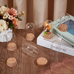 Стеклянный купол 20 шт.&nbsp;AJEW-BC0009-93