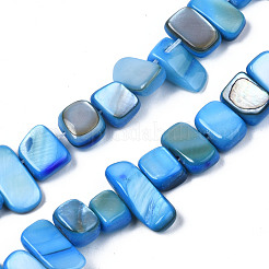 Нити бусин из натуральных трохоидных/трохус ракушек SHEL-S258-082