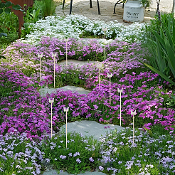 20шт акриловая бабочка украшение для цветочного горшка AJEW-OC00025