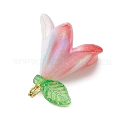 Непрозрачные акриловые подвески PALLOY-JF03267