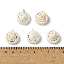 Кулоны из натуральной оболочки глаза шива&nbsp;KK-C143-55G