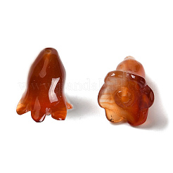 Природные сердолика бусы&nbsp;G-C054-09F