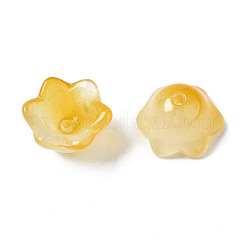 Прозрачные двухцветные стеклянные бусины GLAA-Q089-002B-009