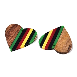 Подвески из ямайской цветной эпоксидной смолы и орехового дерева&nbsp;RESI-N039-122V