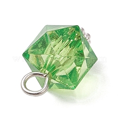 Прозрачные акриловые подвески&nbsp;PALLOY-JF04258-02