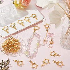 40 шт. карабин для шнурка с поворотными застежками из сплава&nbsp;FIND-SP0003-60G