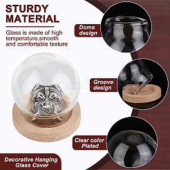 Купол из круглого стекла&nbsp;DIY-DR0001-52