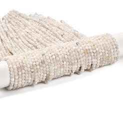 Бусины из натурального радужного лунного камня&nbsp;LS-G-RM2025-31-3mm