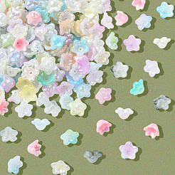 480шт 12 цвета акриловые колпачки для бусин OACR-SC0002-31