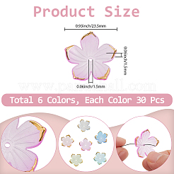 180шт 6 цвета прозрачные акриловые колпачки для бусин&nbsp;TACR-PA0001-08