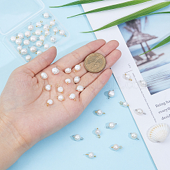 48 шт.&nbsp;FIND-FI0001-17B