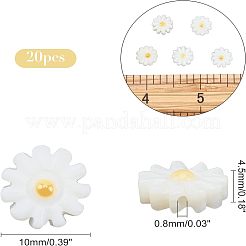 20шт натуральные пресноводные бусины из ракушек PEAR-NB0001-14