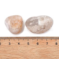 Натуральные бусины в форме цветков сакуры&nbsp;G-G348-01A-05