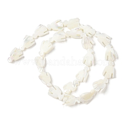 Нити бусин из натуральных трохоидных/трохус ракушек SSHEL-R145-05