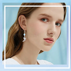 40шт 10 стиля подвески из сплава в тибетском стиле&nbsp;FIND-BM0001-08