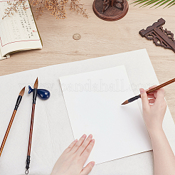 Коврик из шерстяного фетра AJEW-WH0819-015C