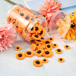 Кабошоны из смолы в стиле 100 шт. CRES-CD0001-01