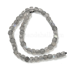 Природные лабрадорита бисер нитей&nbsp;G-B168-B07-4x4mm