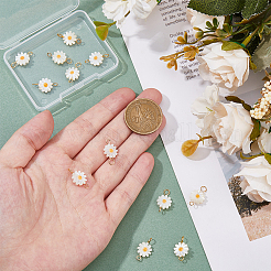 12 шт. подвески-коннекторы в виде цветка натуральной пресноводной ракушки&nbsp;PALLOY-HS00006