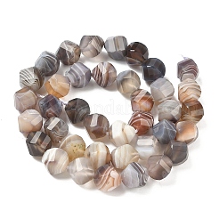 Природные Ботсвана агат бисер нитей&nbsp;G-C267-B09