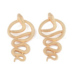 Серьги сплава&nbsp;LS-EJEW-R021-03KCG-02