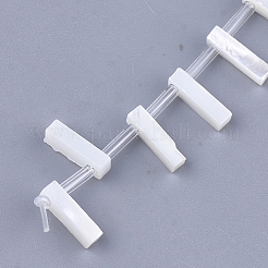 Бусины из натуральных морских раковин SHEL-T012-60I