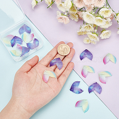 20 шт. 2-цветные подвески из прозрачной смолы с градиентом цвета&nbsp;RESI-AR0001-24