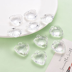 Прозрачные акриловые подвески&nbsp;X-TACR-T024-03B-205