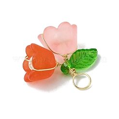 Двухцветные акриловые подвески PALLOY-JF03380