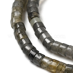 Натуральные нити бус из ларвикита G-E612-A08