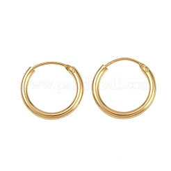 Латунные серьги обруча EJEW-F378-02G