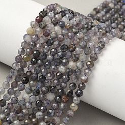 Природные иолит нитей бисера G-G188-B04-06A