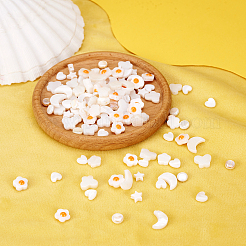 160шт 8 стиля натуральные пресноводные бусины из ракушек SHEL-TA0001-08