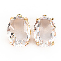 Прозрачные стеклянные подвески&nbsp;GLAA-S193-009G