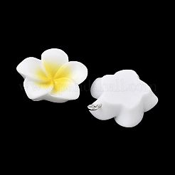 Подвески из непрозрачной смолы&nbsp;LS-FIND-K024-01