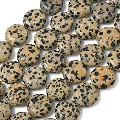 Природные яшмы далматин бисер нитей&nbsp;G-L648-B19-15mm