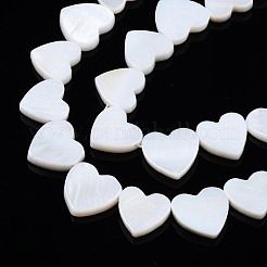 Нити бусин из натуральных пресноводных ракушек SHEL-N027-21