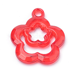 Прозрачные акриловые подвески&nbsp;TACR-S144-54