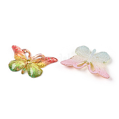 Печатные полупрозрачные акриловые подвески OACR-T028-17B