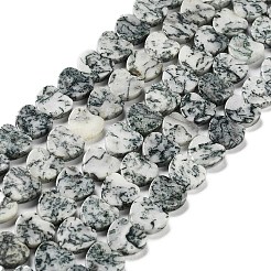 Натурального дерева агат бисер нитей G-G084-B12-02