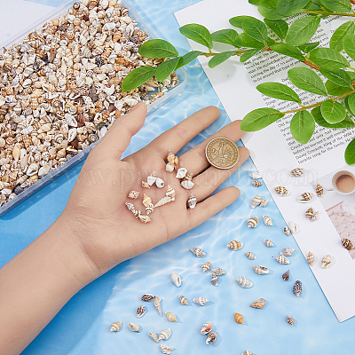 1550шт натуральные спиральные бусины-ракушки SSHEL-DC0001-04-1