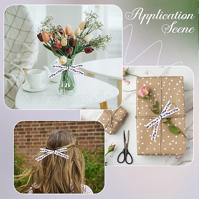 Полиэфирная лента&nbsp;OCOR-WH20061-010-1