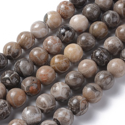 Природные окаменелые коралловые бусы пряди G-G212-10mm-31-1