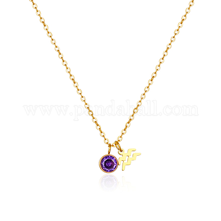 Ожерелья с подвеской из нержавеющей стали с фиолетовым кубическим цирконием и камнем-талисманом Водолея для женщин ZA6688-3-1