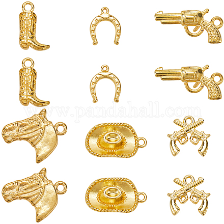 60шт. 6 стиля подвески из сплава в тибетском стиле FIND-SC0010-51-1