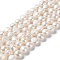 Natural Cultured Freshwater Pearl Beads Strands, Two Sides Polished, Grade 5A, PapayaWhip, 11~12x7~8.5mm, Hole: 0.5mm, about 34pcs/strand, 14.17 inch(36cm)
