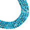 2 Strands Round Natural Apatite Beads Strands, Grade AB, 4~4.6mm, Hole: 1mm, about 93pcs/strand, 6.10''(15.5cm)