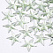 Plastic Cabochons, Star, Dark Sea Green, 13x14x1.5mm, about 2000pcs/bag
